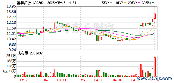 正规配资十大排名 稀土永磁板块快速拉升，盛和资源涨停