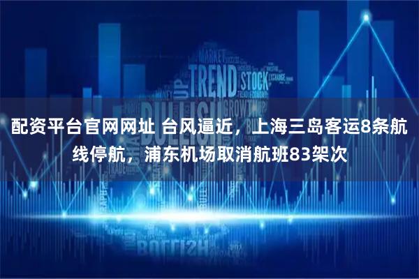 配资平台官网网址 台风逼近，上海三岛客运8条航线停航，浦东机场取消航班83架次